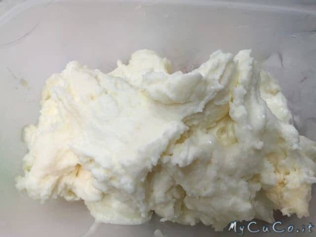 Gelato fiordilatte aromatizzato alla vaniglia