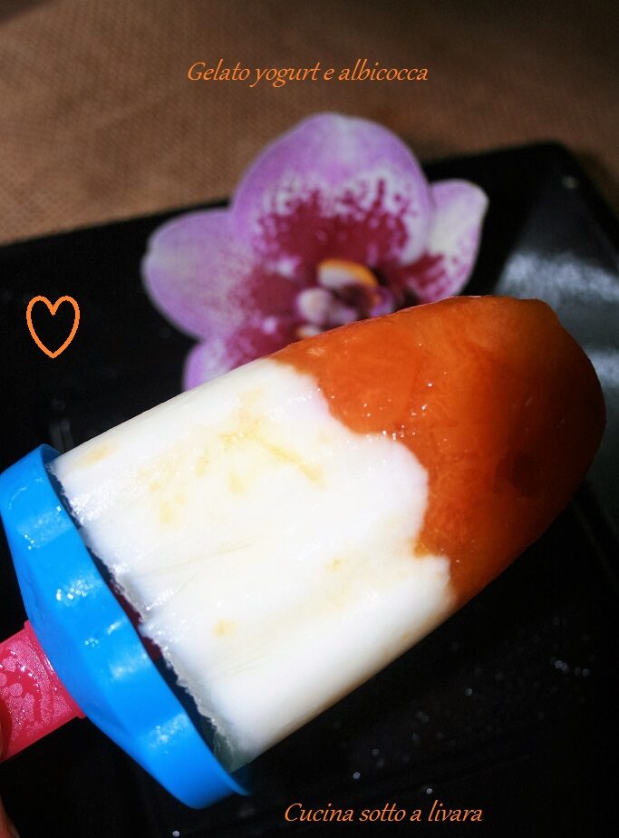 Gelato yogurt e  frutta