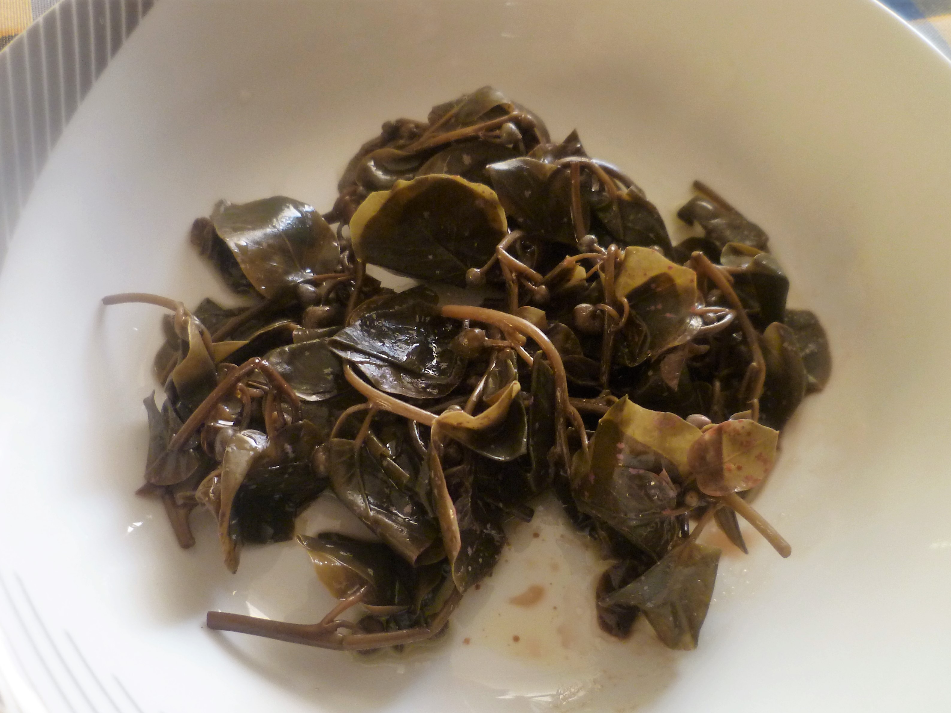 Germogli del cappero sotto sale