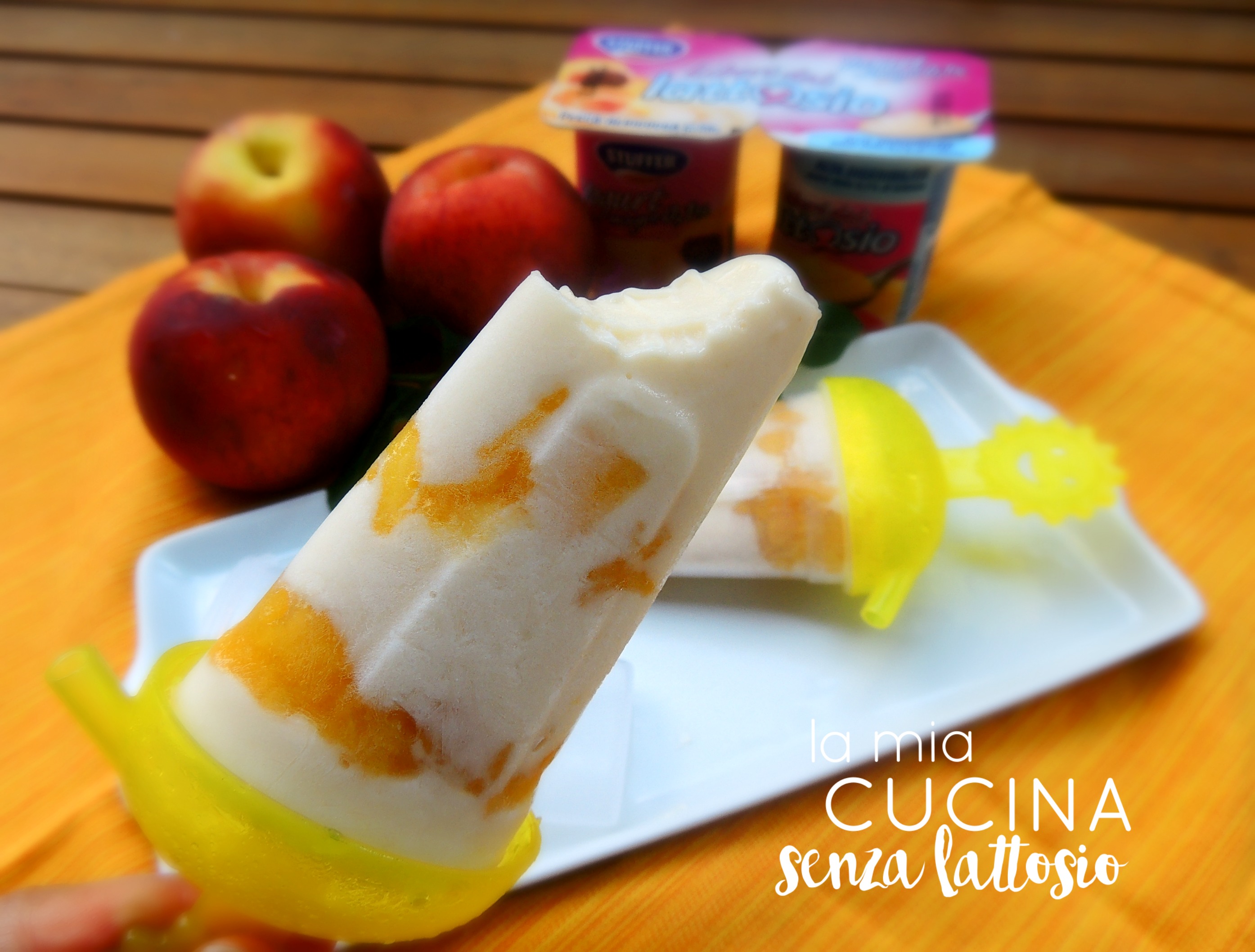 Ghiaccioli allo yogurt fatti in casa – senza lattosio