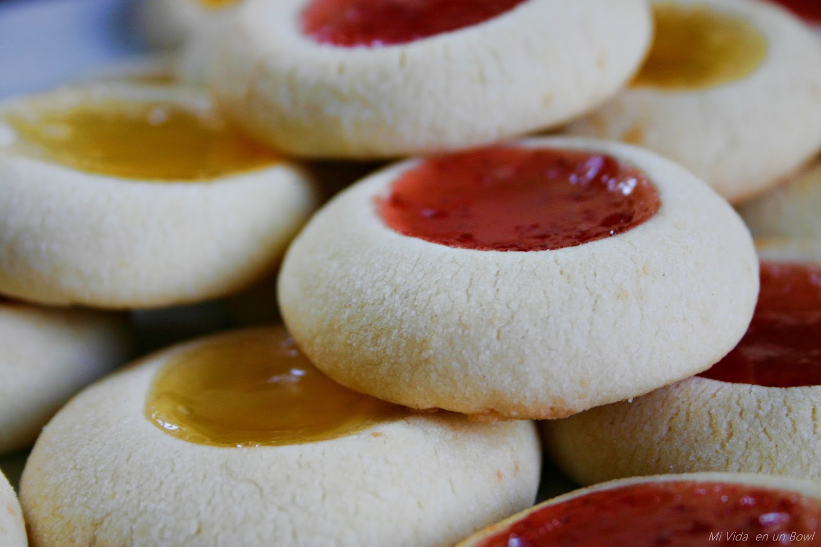 Gli ovis mollis: i tuoi prossimi biscotti preferiti!