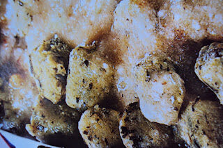 Gnocchi di bietole in salsa di noci