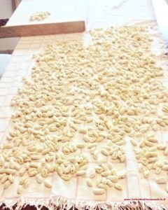 Gnocchi di pasta fresca