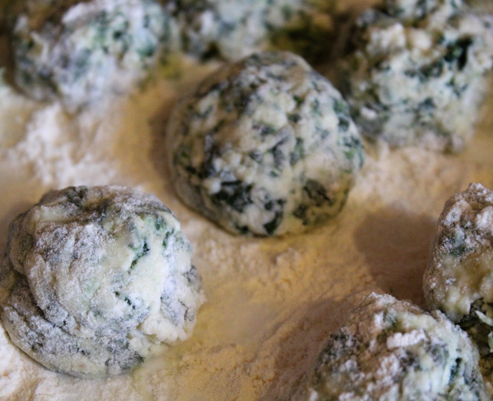 Gnudi