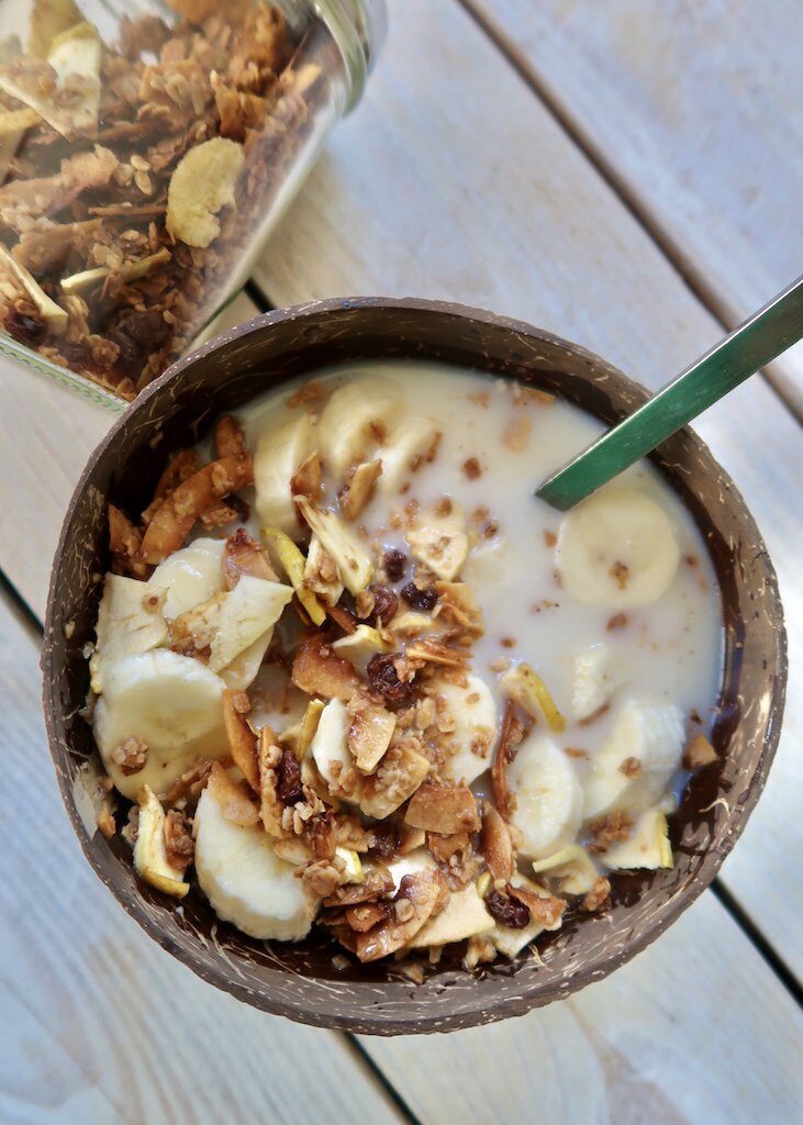 Granola vegan alla frutta – fatta in casa