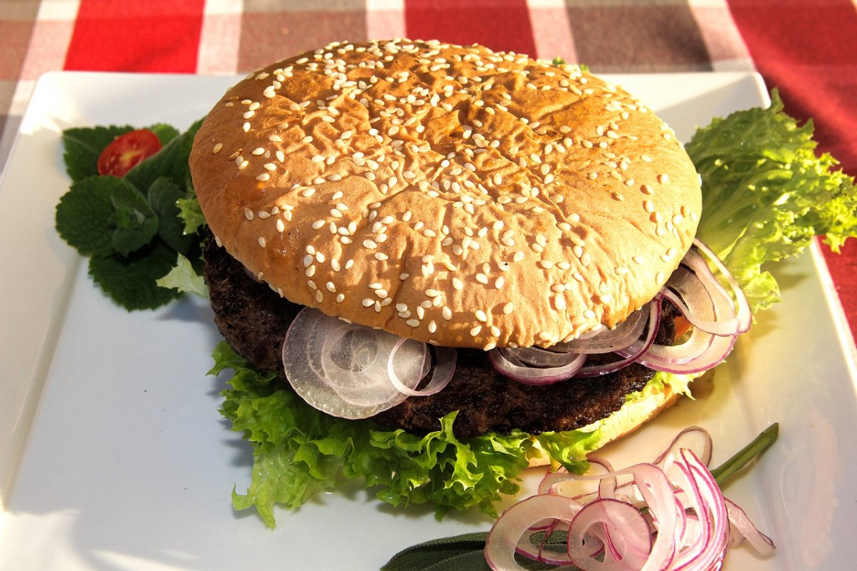 Hamburger gustoso usa fatto in casa