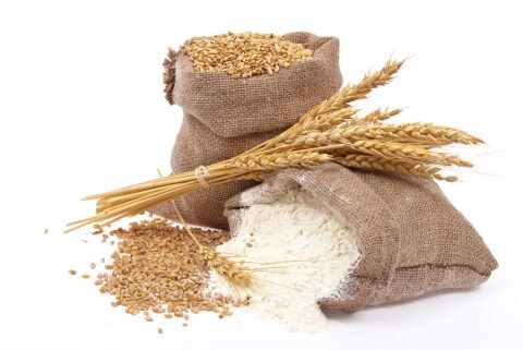 I cereali: parte prima