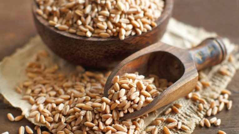 Il farro: cos’è e come si cucina