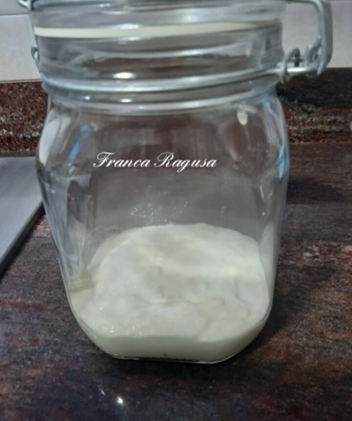 Il mio lievito madre