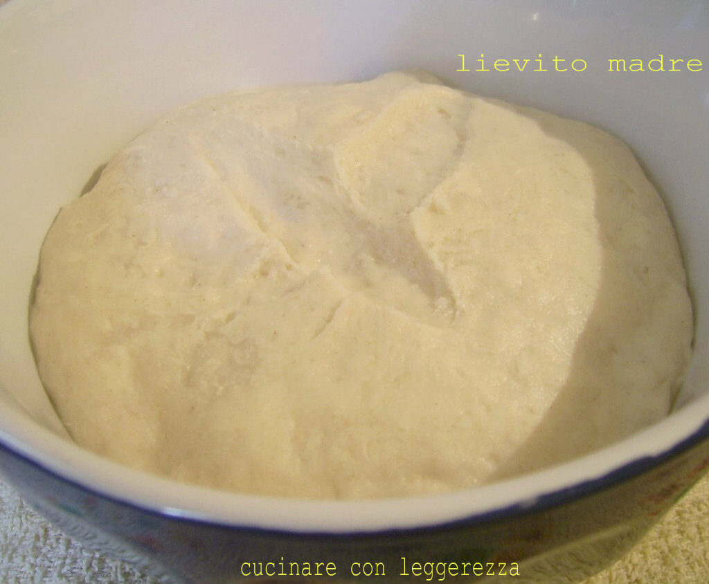 Il mio lievito madre