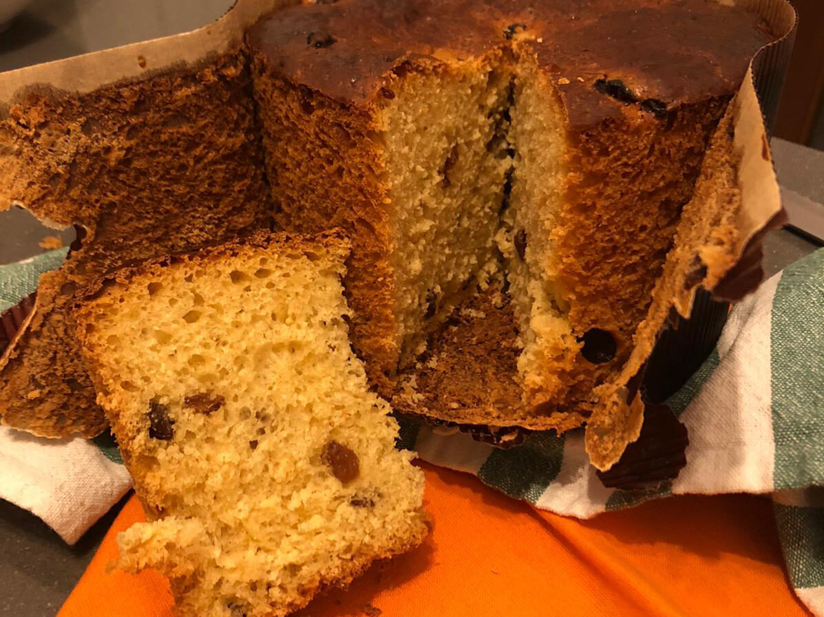 Il mio panettone veg