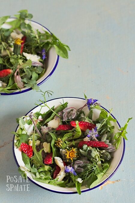 Insalata con erbe selvatiche, fragole e gorgonzola piccante