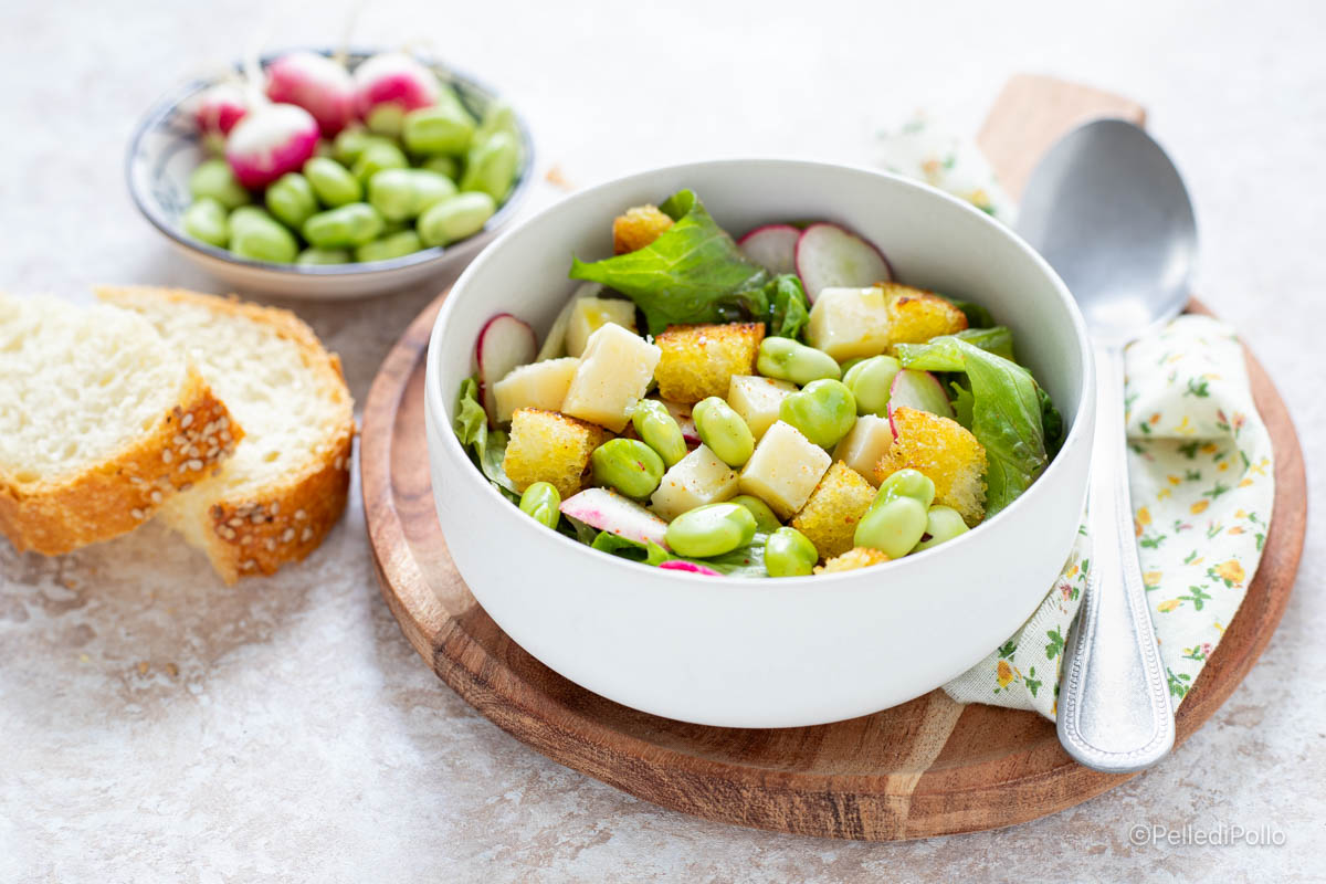 Insalata di fave fresche con formaggio e crostini