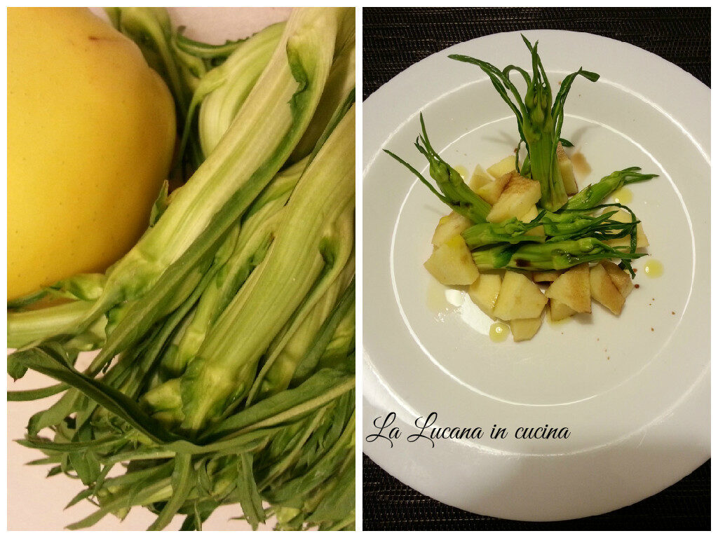 Insalata di puntarelle e mele al balsamico