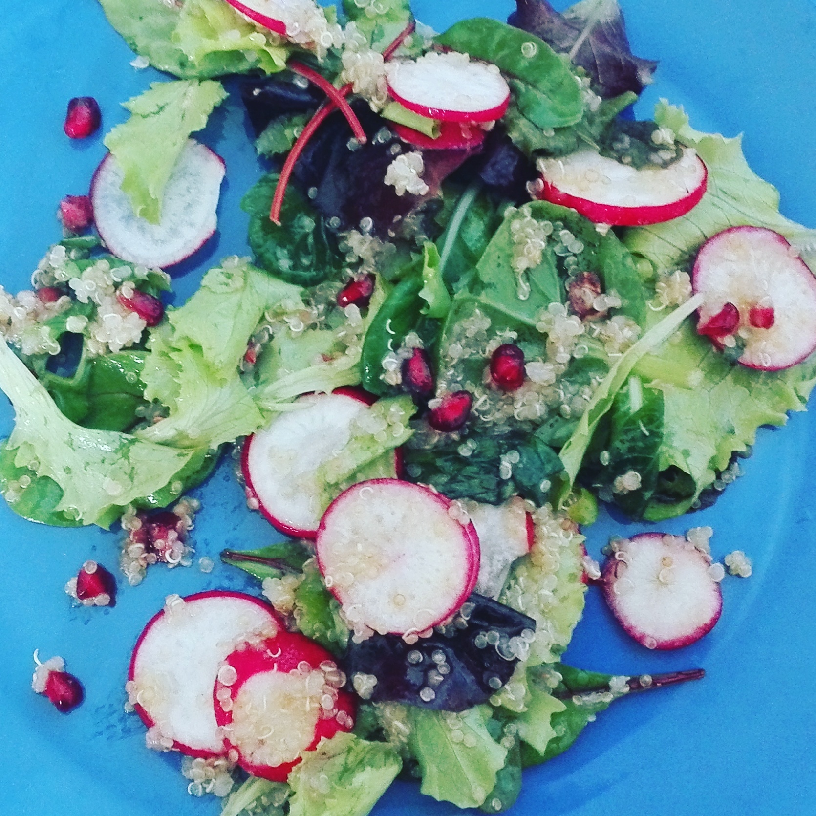 Insalata di quinoa melograno e ravanelli