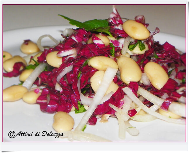 Insalata di radicchio e fagioli