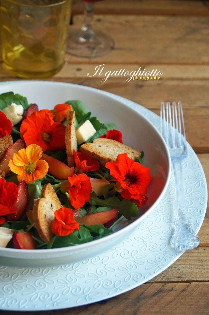 Insalata di rucola, nasturzi, susine e brie