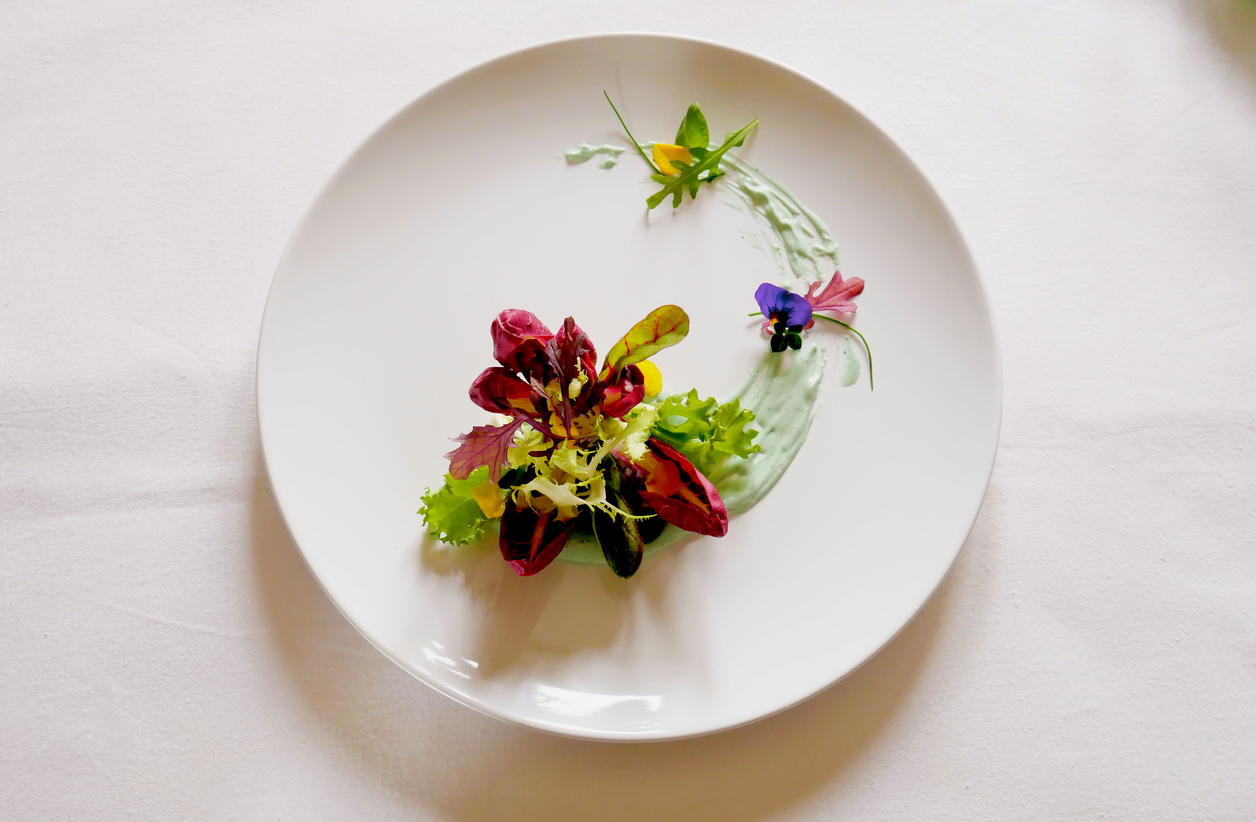 Insalatina con maionese vegan alla spirulina