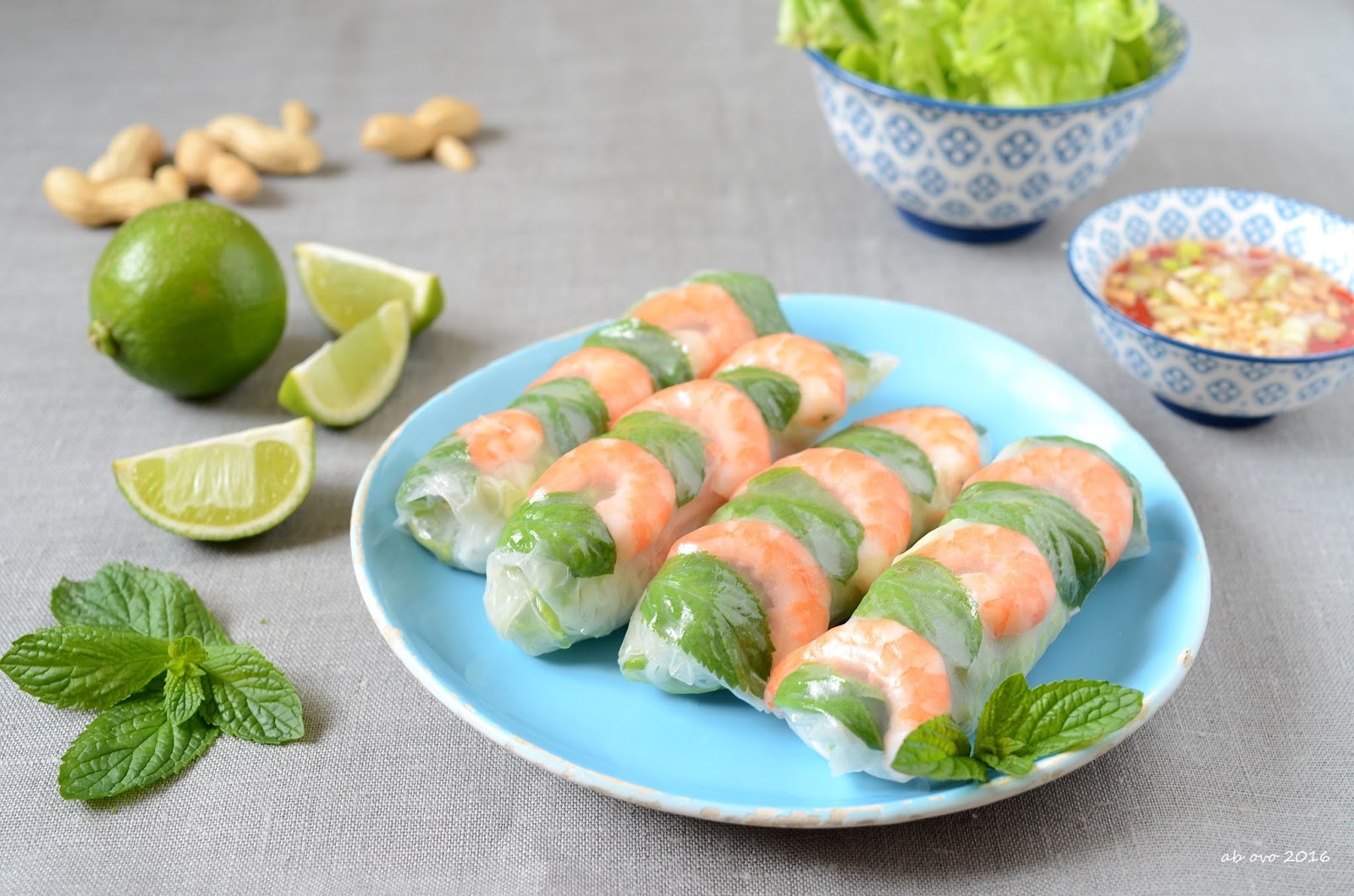 Involtini di riso vietnamiti – vietnamese summer rolls (gỏi cuốn)