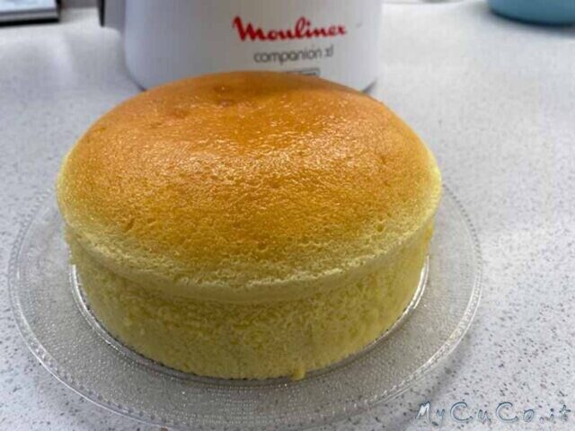 Japanese cotton cheesecake con companion moulinex