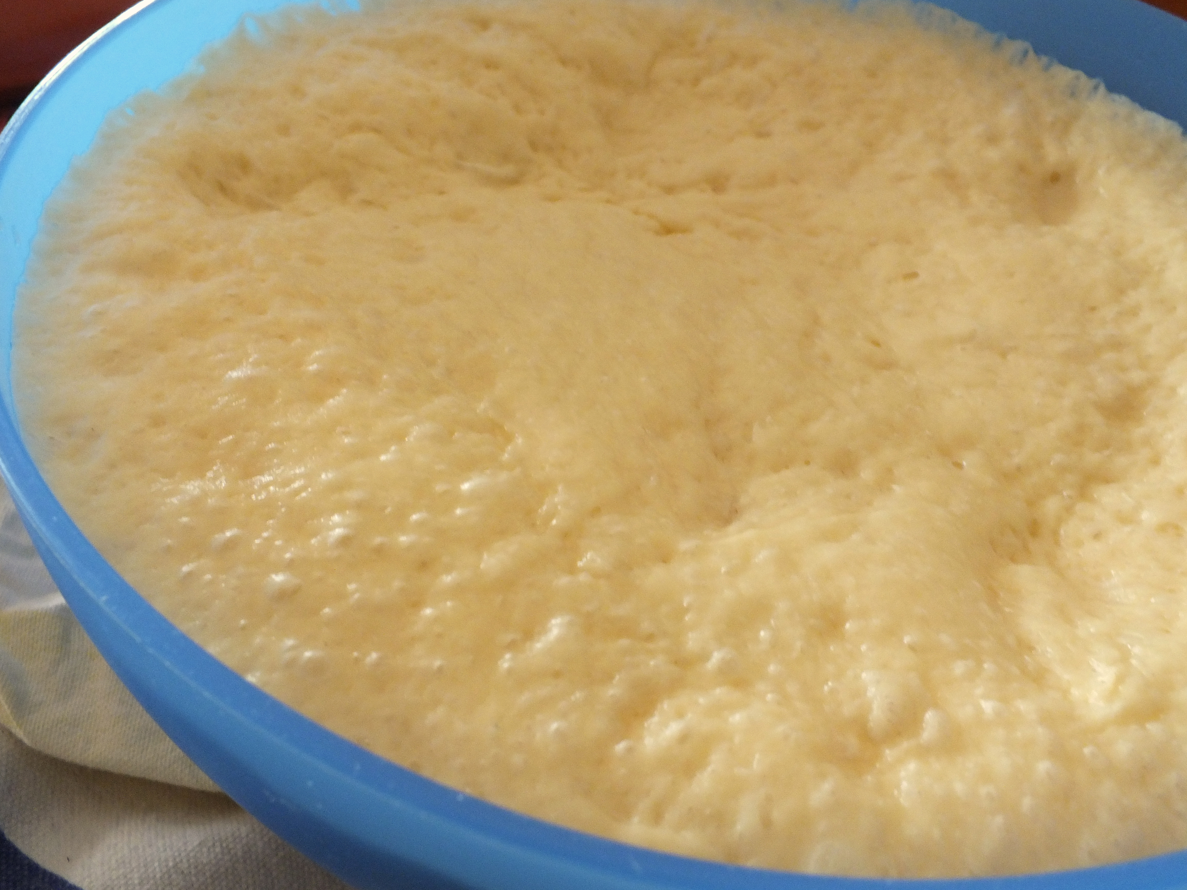 La colomba fa festa, chi si unisce?