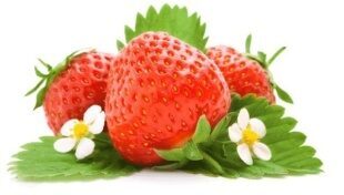 La fragola