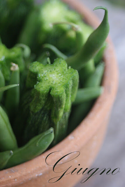 La piccola bottega di campagna di giugno – zucchini e fagiolini