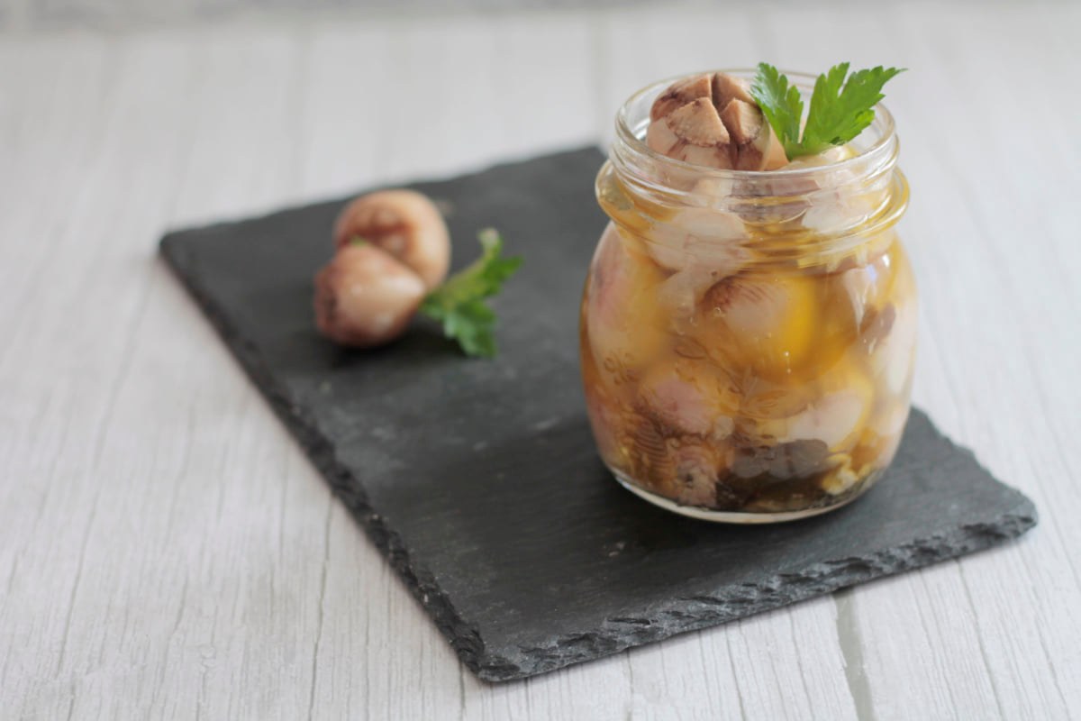 Lampascioni sott’olio ricetta di puglia
