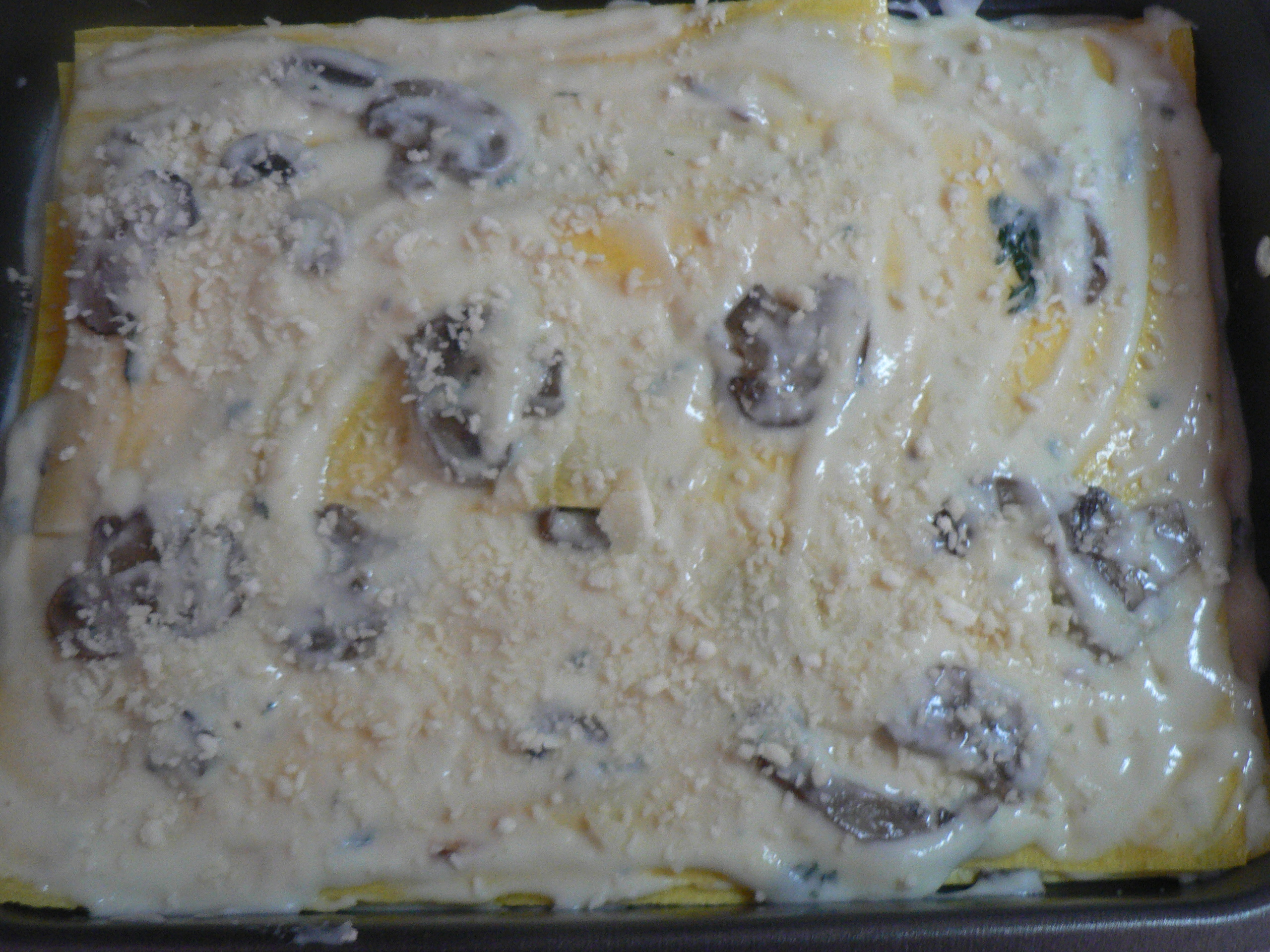 Lasagne ai funghi e besciamella-ricetta primo | noi due in cucina