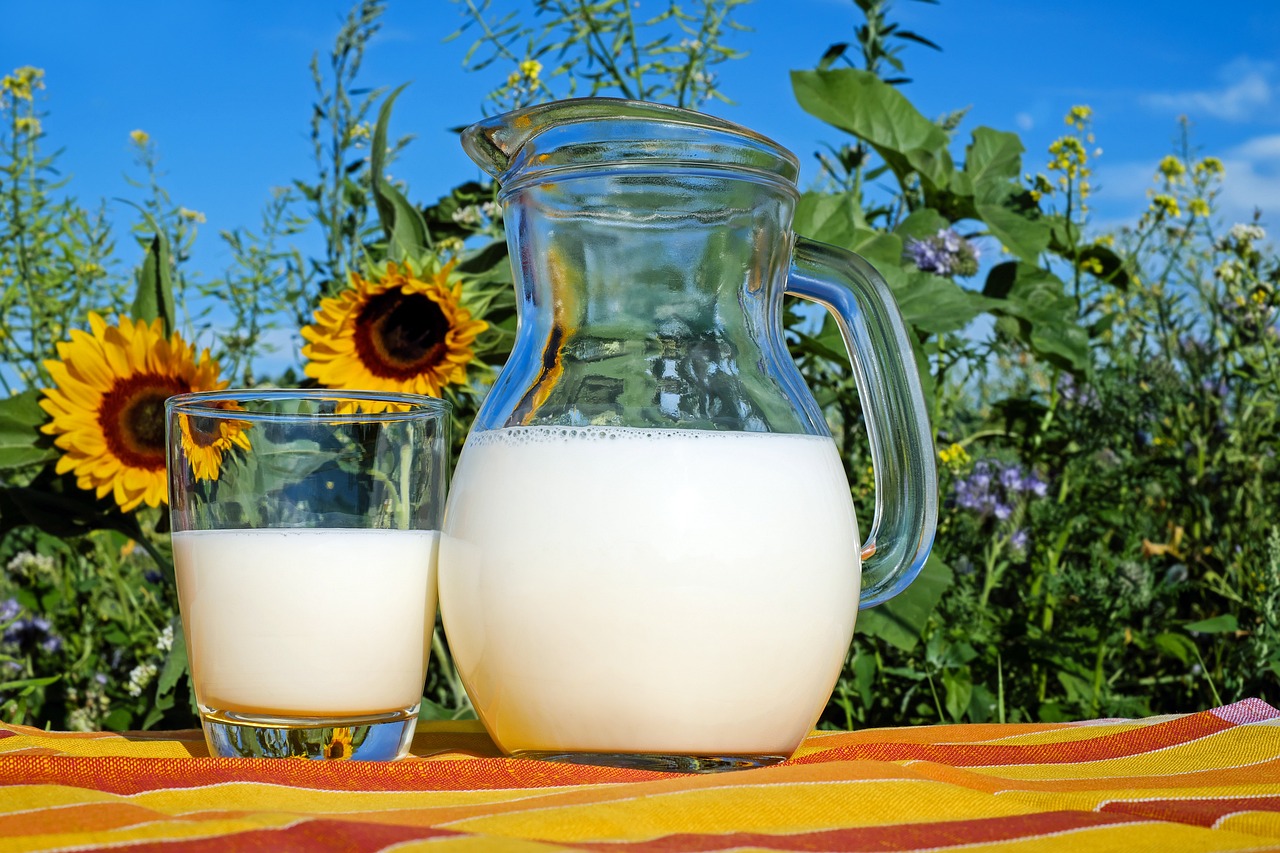 Latte di riso fatto in casa