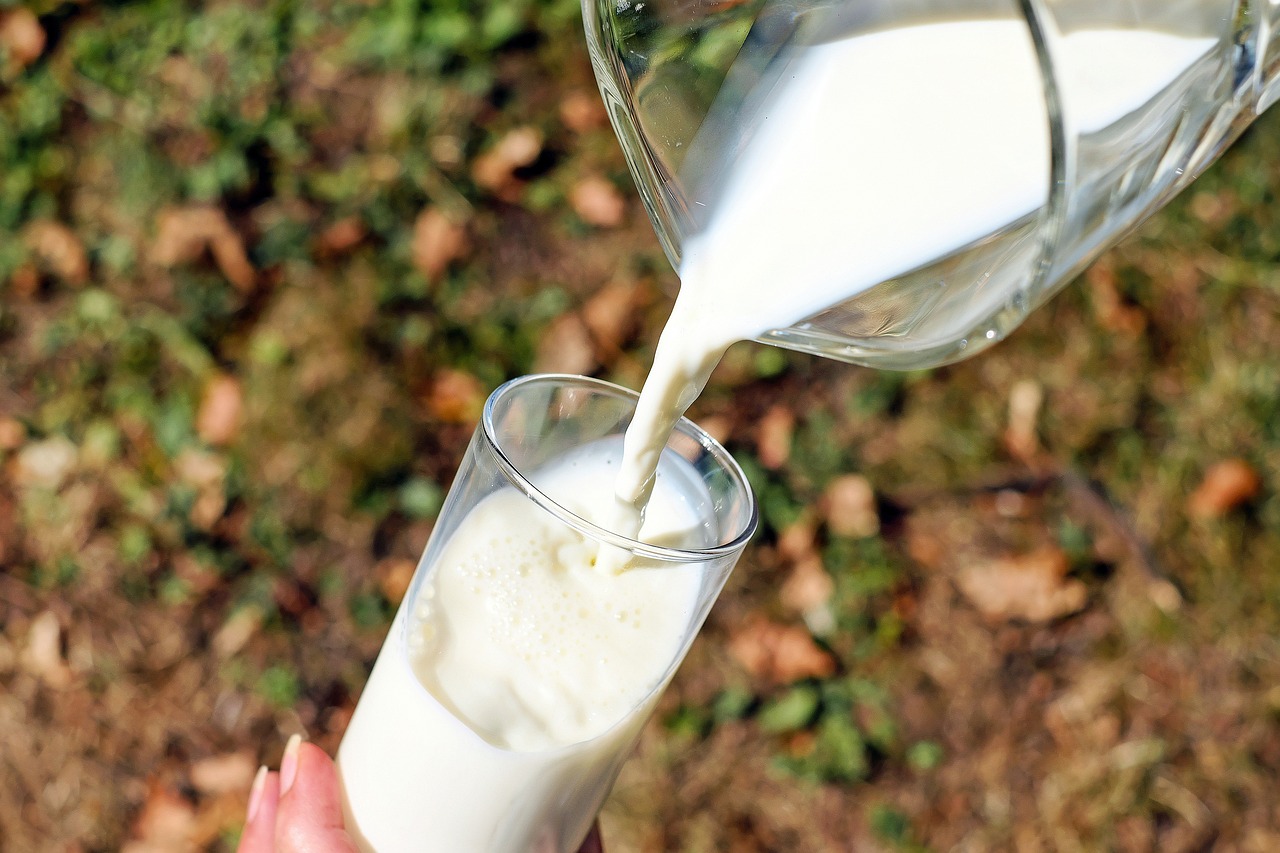 Latte di soia fatto in casa