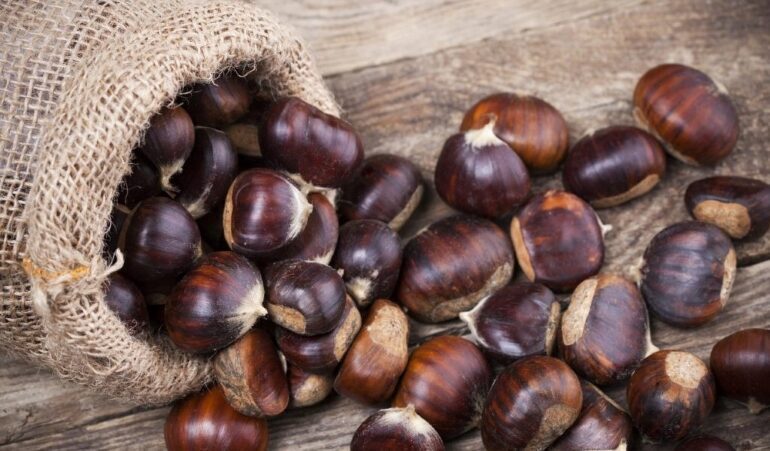 Le castagne