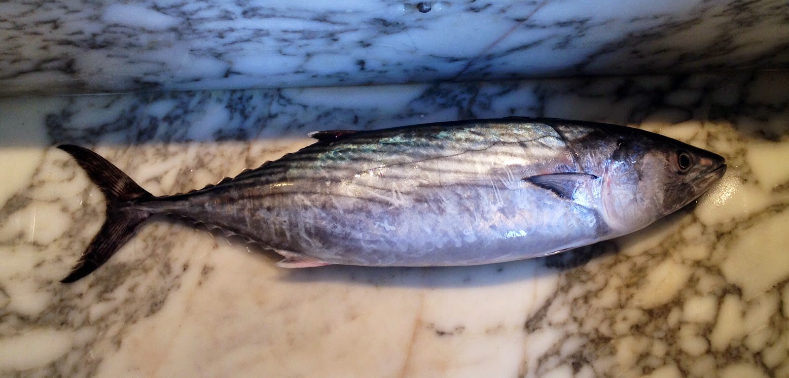 Le mie polpettine di pesce
