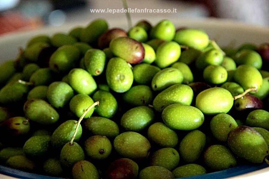 Le olive in salamoia