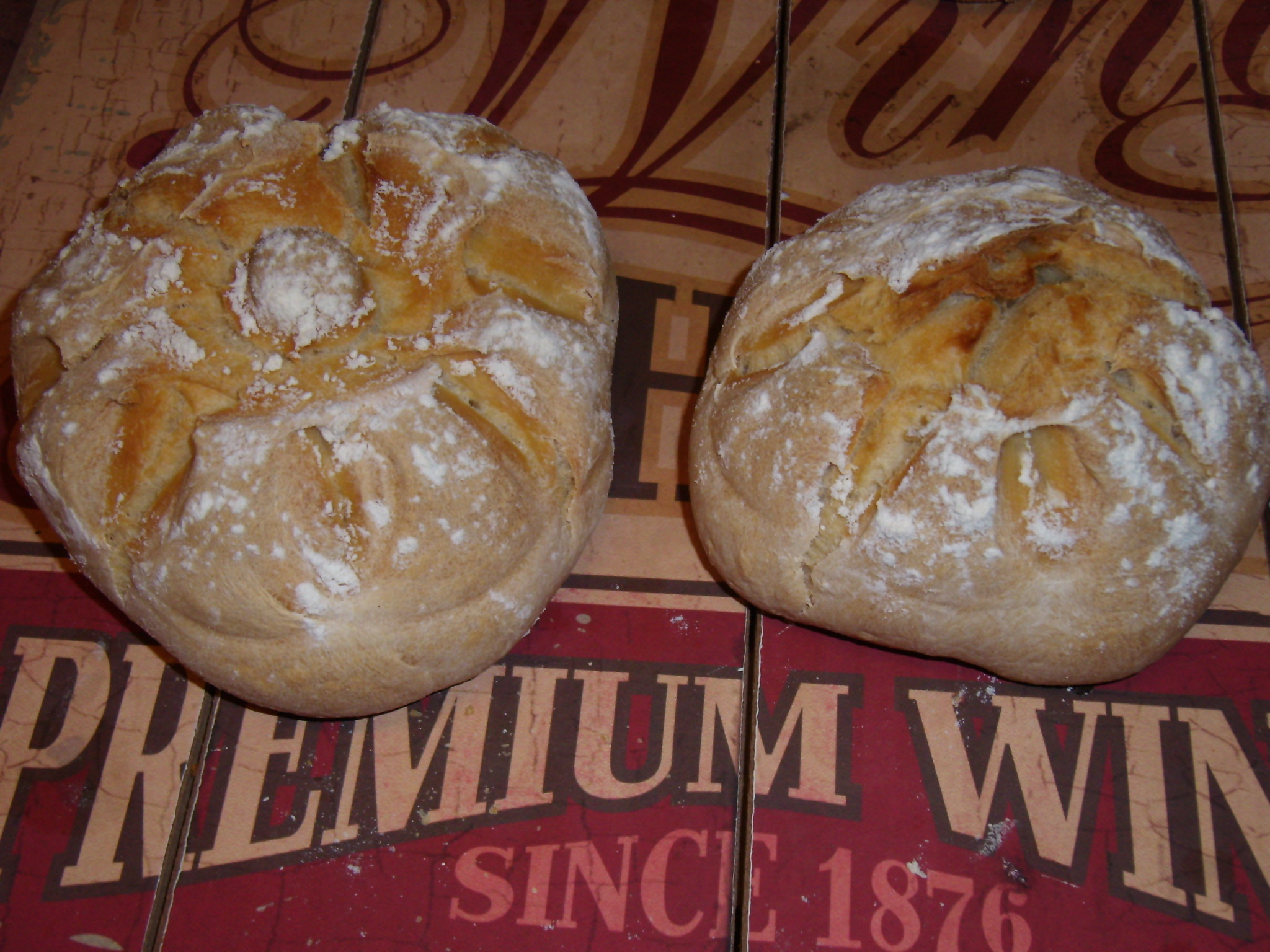 Le rosette di pane