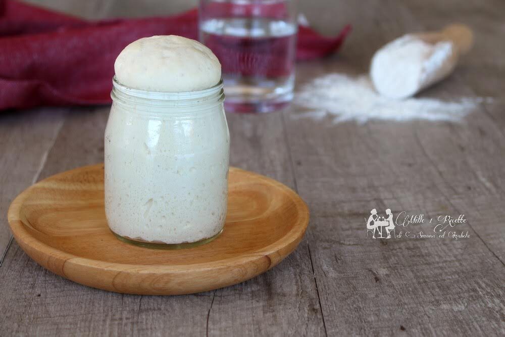 Lievito madre dall’ auto-creazione al mantenimento