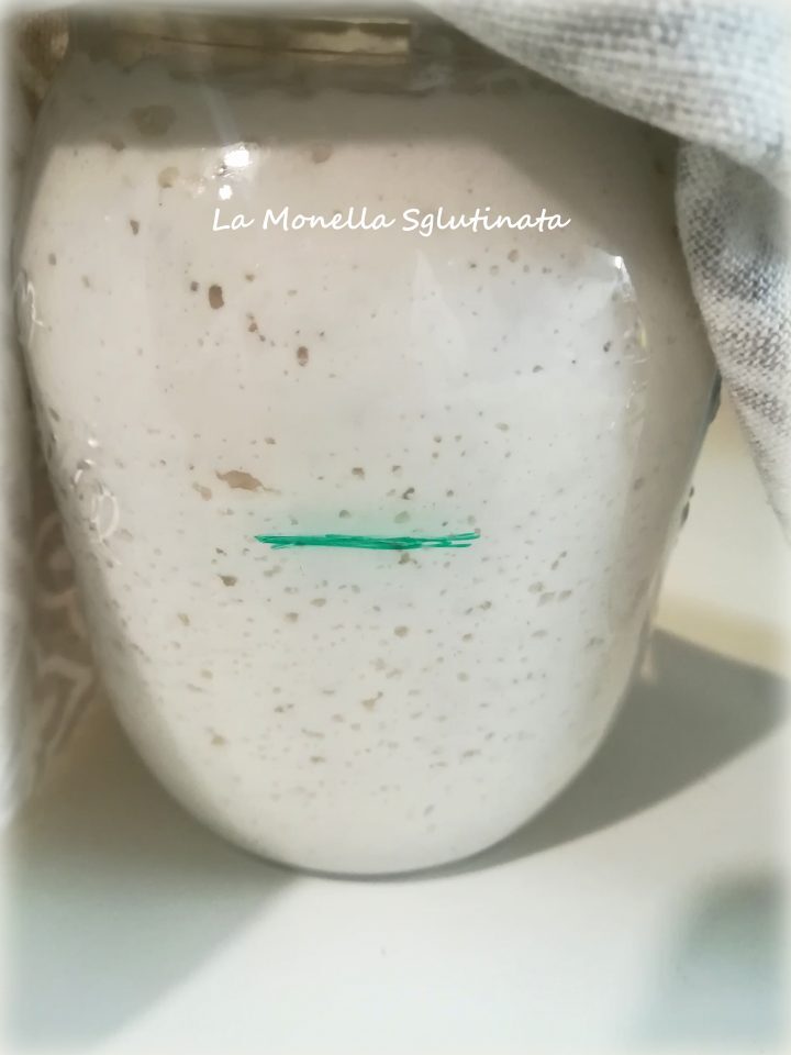 Lievito madre della monella senza glutine