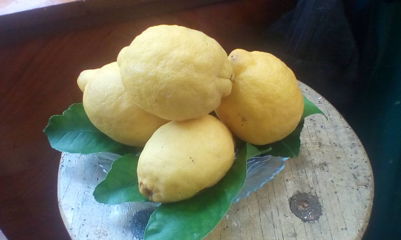Limoncello