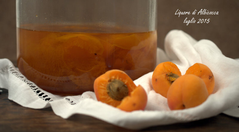 Liquore di albicocche