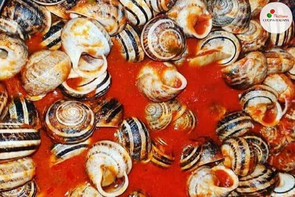 Lumache al sugo di pomodoro