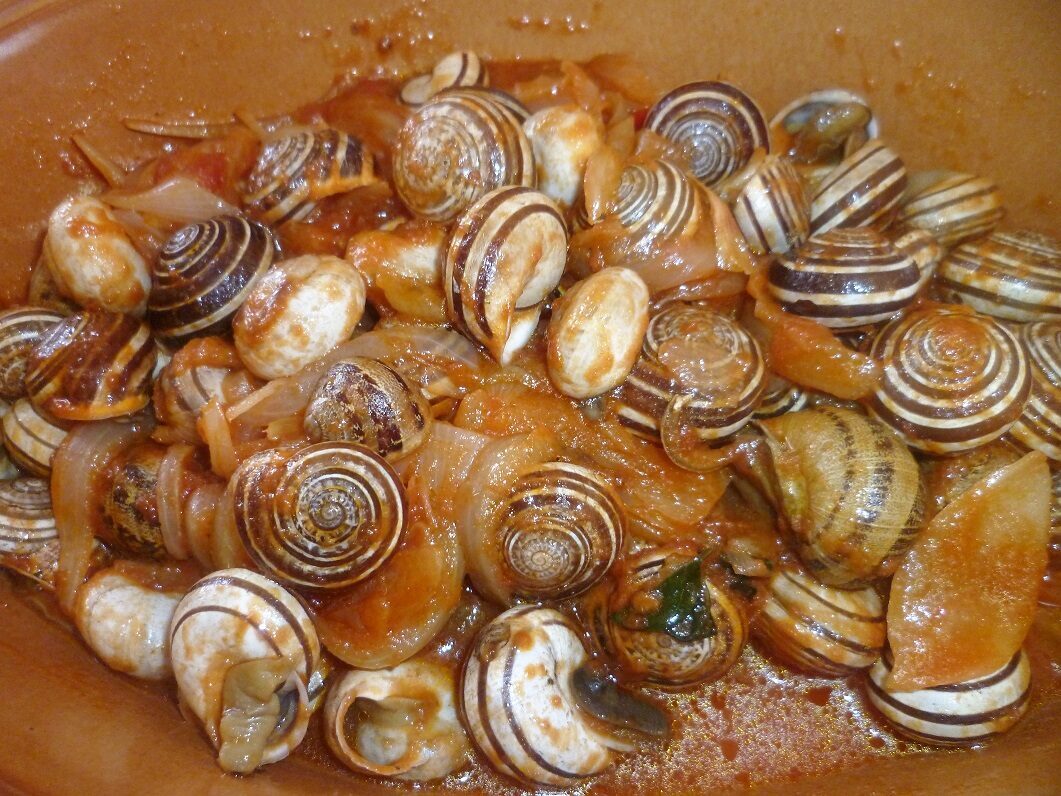 Lumache in polpa di pomodoro e cipolle