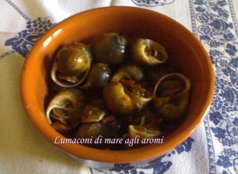 Lumaconi di mare agli aromi