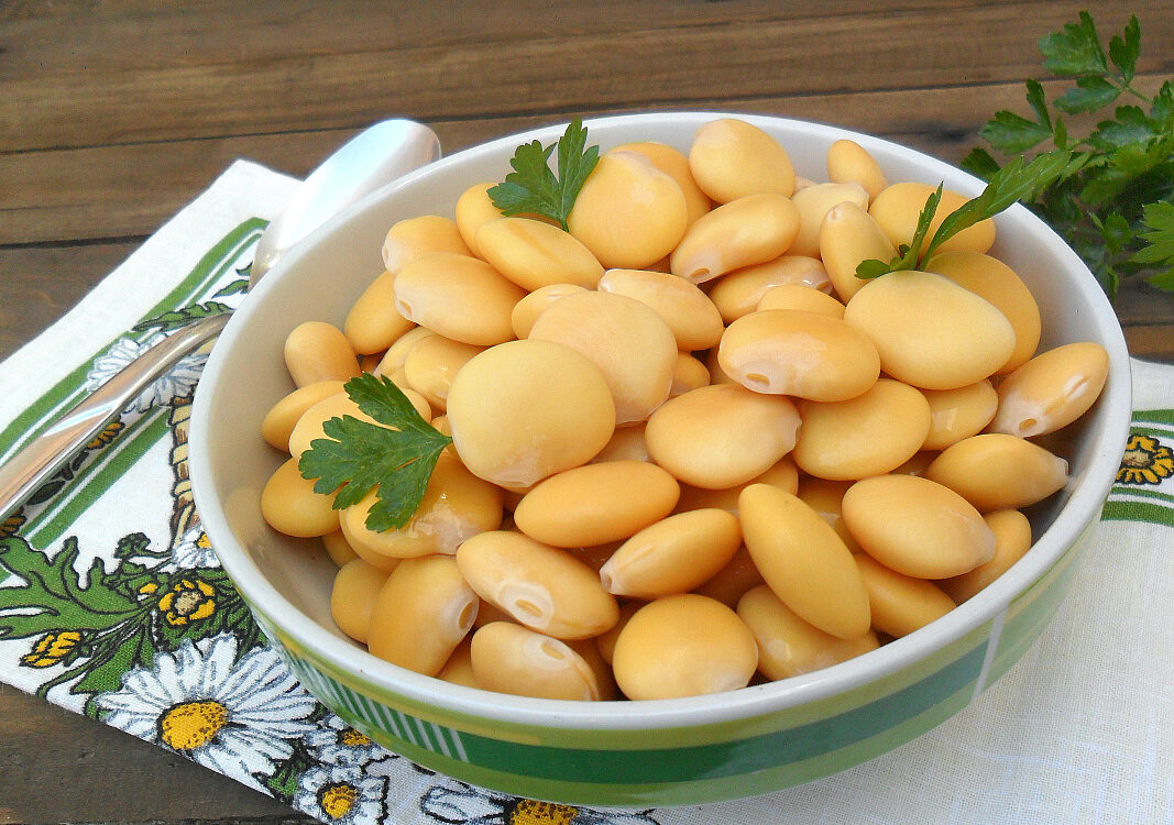 Lupini snack