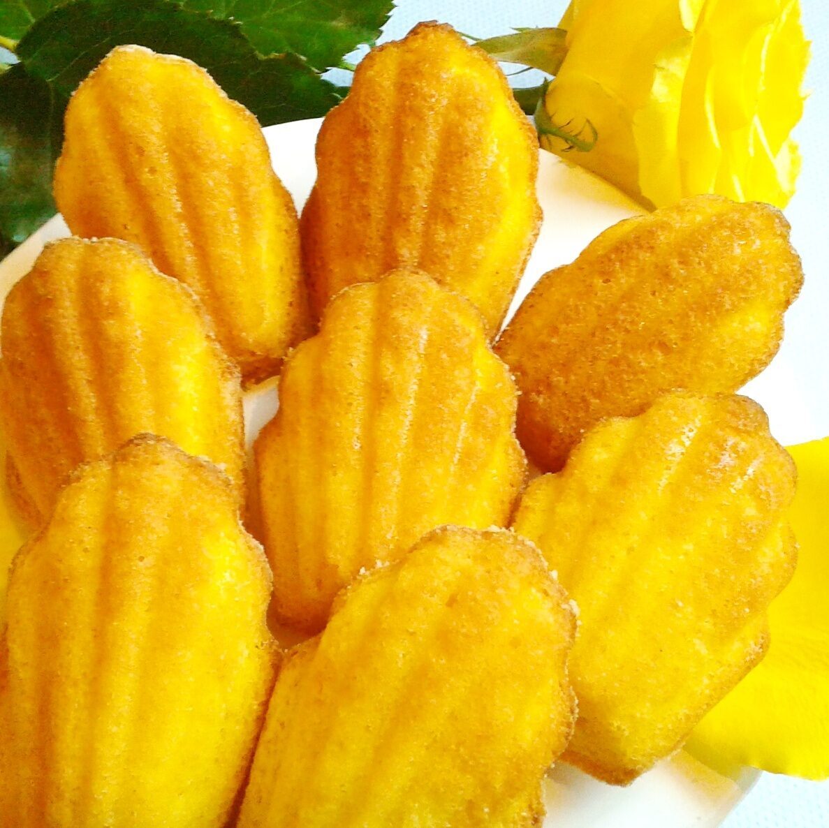 Madeleine