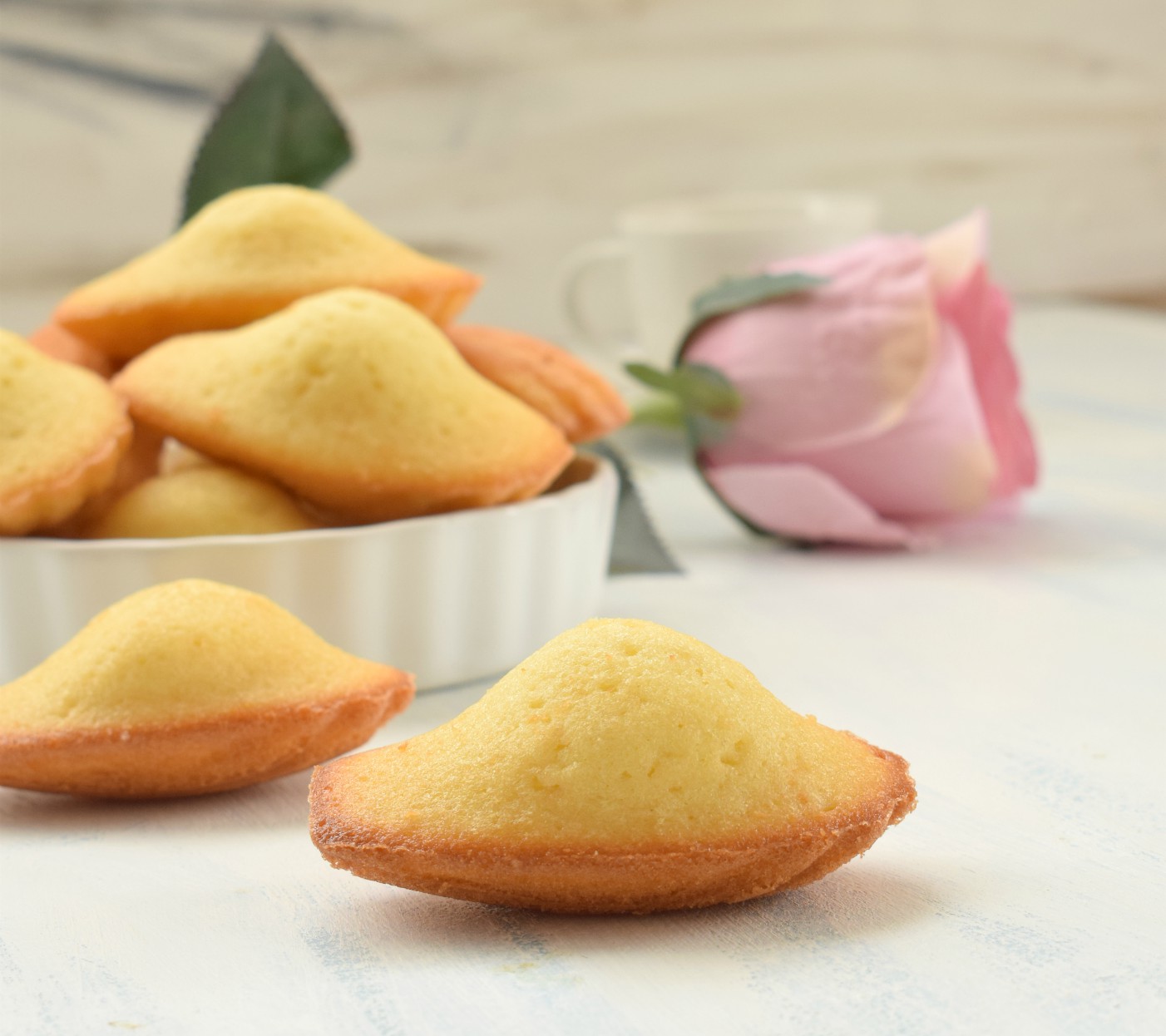 Madeleines