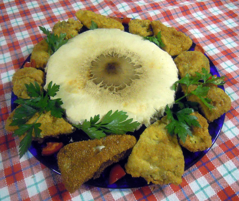 Mazze di tamburo fritte