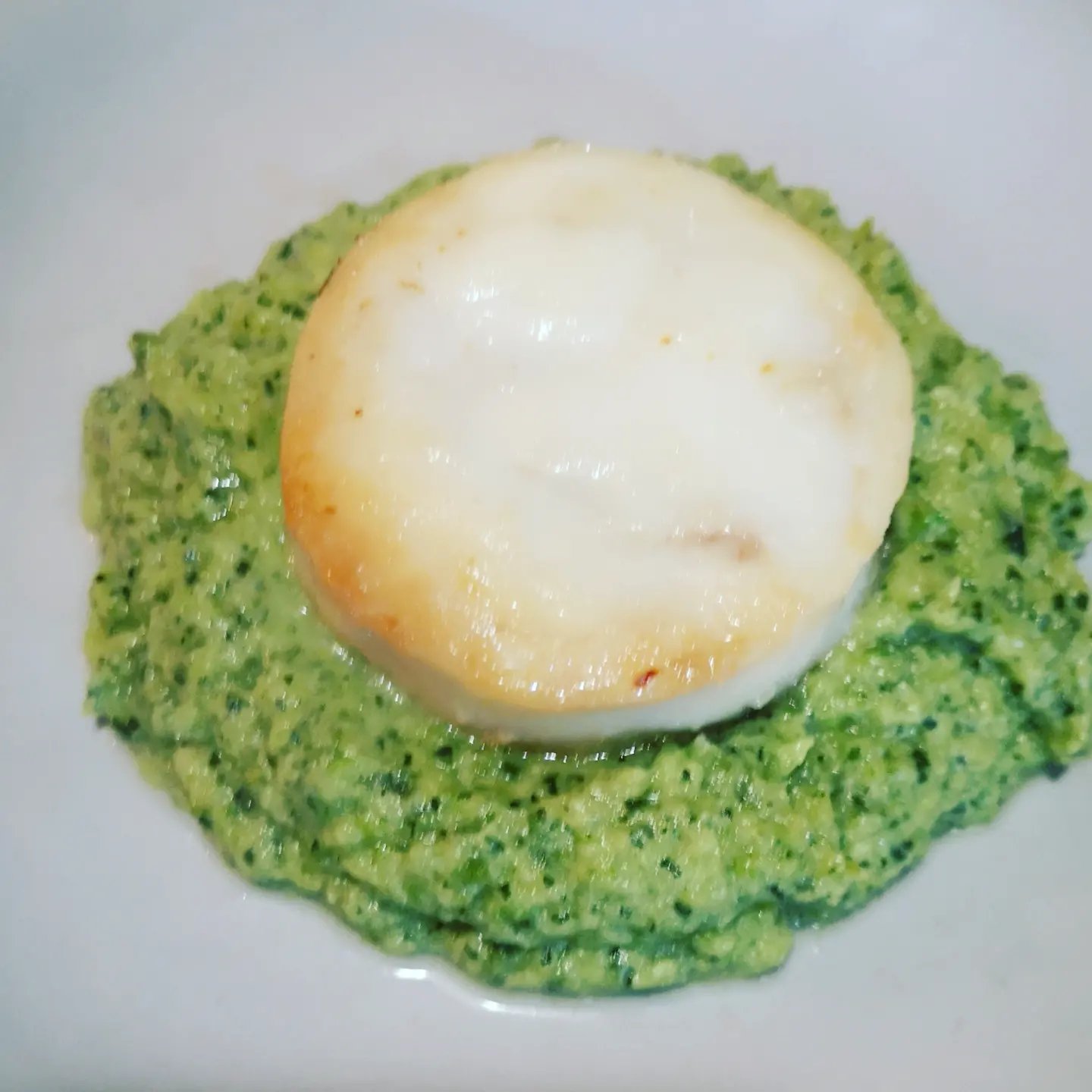 Medaglione di merluzzo al brandy su crema di zucchine e menta