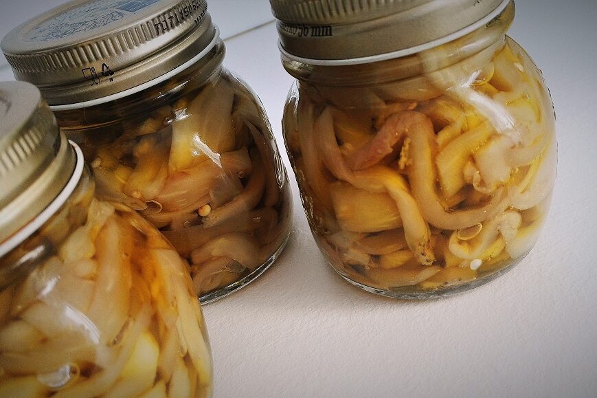 Melanzane sott’olio