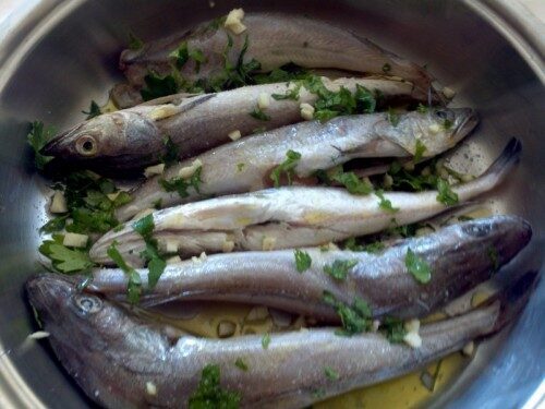 Merluzzo olio e limone ,olio di oliva exstravergine, prezzemolo.