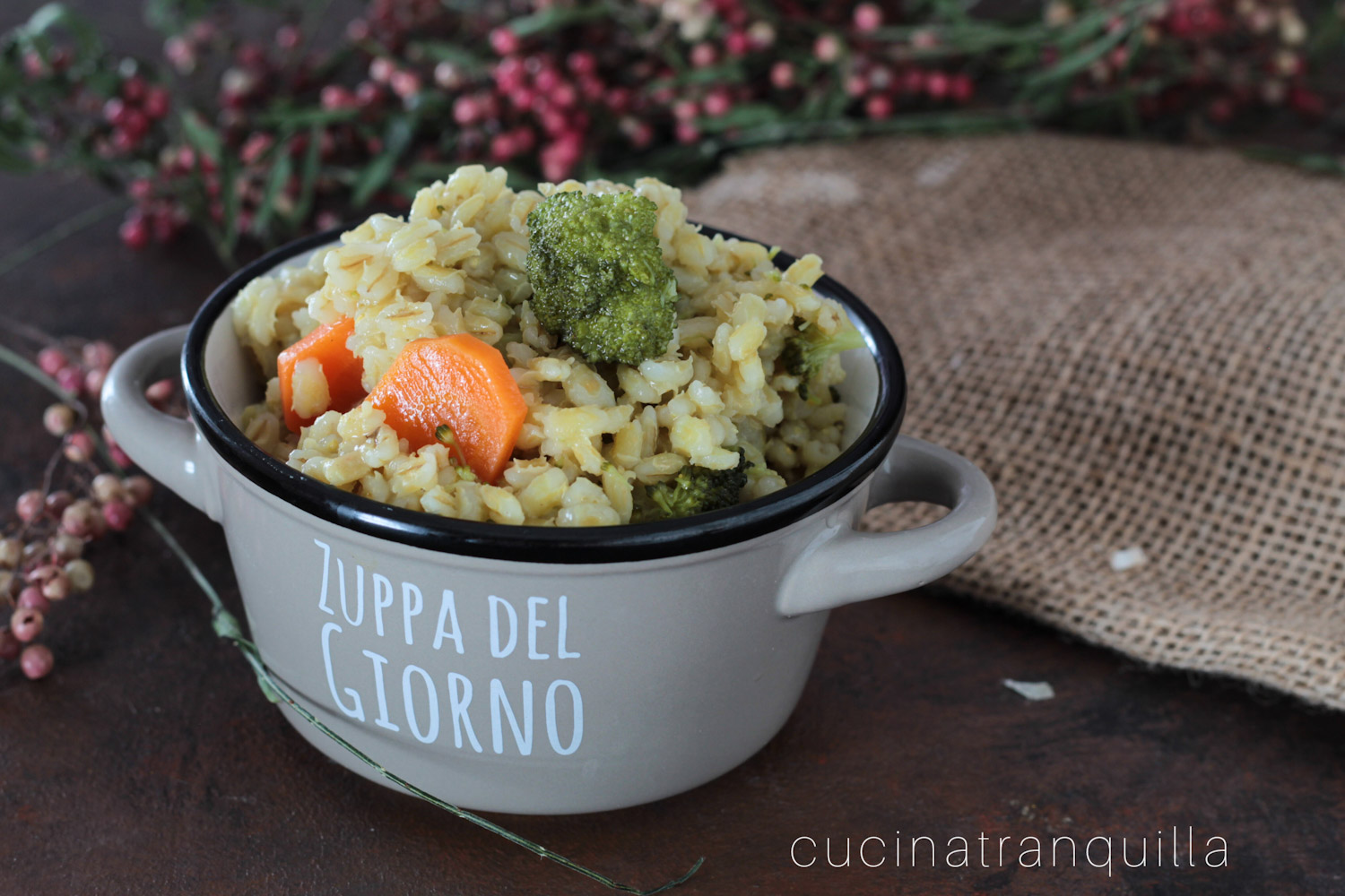 Minestra di orzo e verdure